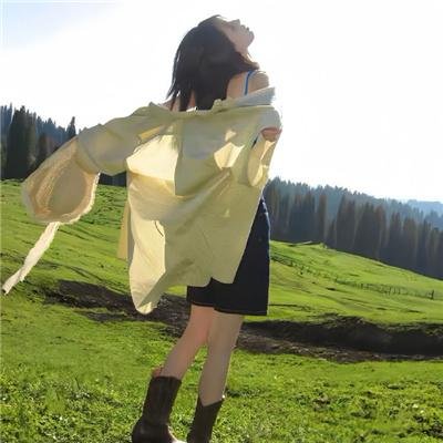 亚当变奏曲